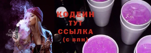 молекула духа Белоозёрский