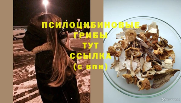 метамфетамин Богородицк