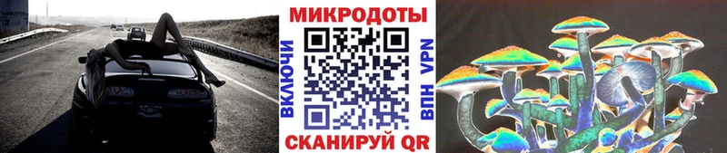 ОМГ ОМГ ссылки  Горняк  Галлюциногенные грибы GOLDEN TEACHER  где купить наркоту 